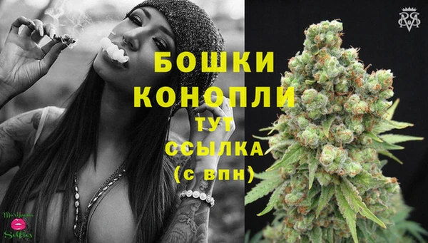 PSILOCYBIN Баксан