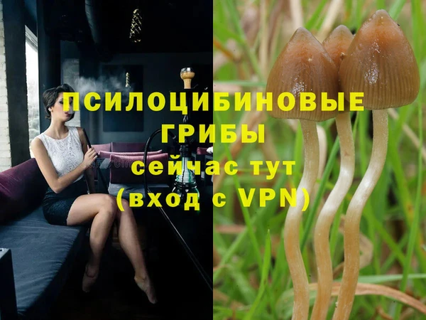 a pvp Белоозёрский