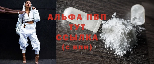 PSILOCYBIN Баксан